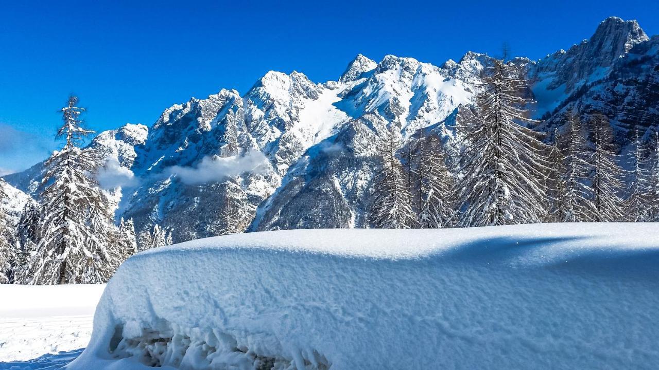 House Moose'T Getaway, Kranjska Gora Villa Buitenkant foto
