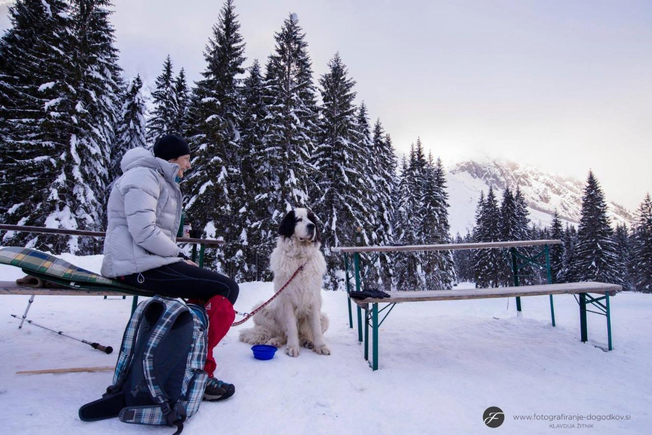 House Moose'T Getaway, Kranjska Gora Villa Buitenkant foto